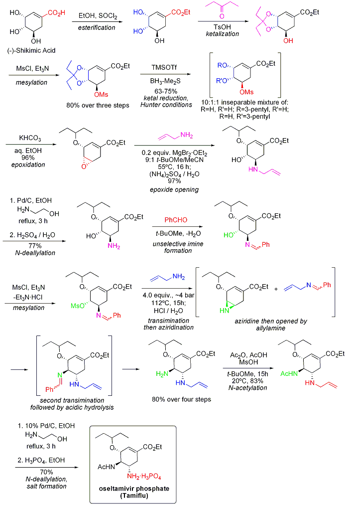 synthesis of tamiflu