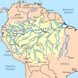 The basin of the Amazon River is a system made up of many tributary streams. The streams shown on the map besides the Amazon are tributaries of the Amazon. The Amazon is not a tributary of any other rivers because it ends in the Atlantic Ocean.