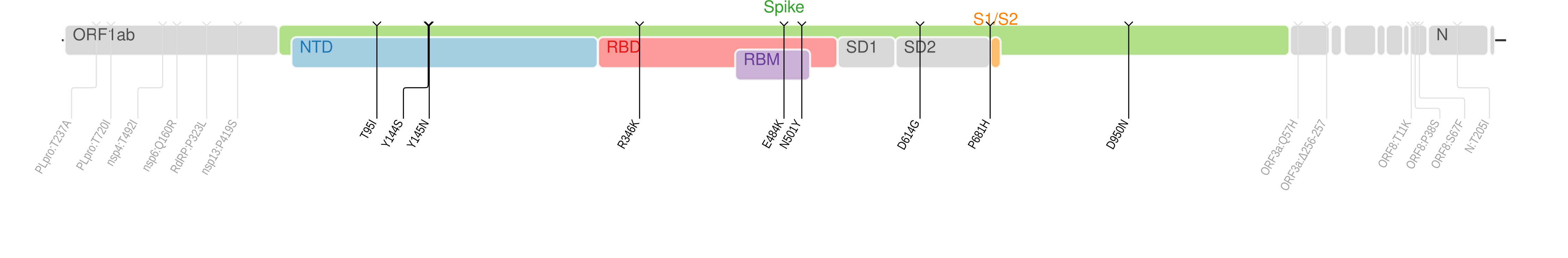 SARS-CoV-2 Mu變異株基因體棘蛋白部分的胺基酸變異圖[9]