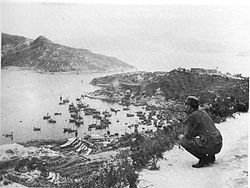 第229联队队长田中良三郎大佐在攻占香港后，从山坡上俯瞰爱秩序湾。第229联队自开战起便以东线入侵，于12月18日在爱秩序湾登陆，攻占鲤鱼门炮台后，于19日分两路向大潭水塘东西两侧推进，第2大队进攻大潭峡，而第3大队与另外两支联队不约而同于次日进攻渣甸山，使黄泥涌峡一带的英军措手不及；第229联队第1大队则于19日接替第230联队围攻北角发电厂。