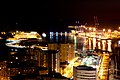 马拉加港夜景