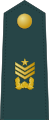 韓國陸軍元士肩章