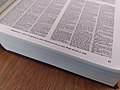 字典的頁腳顯示頁碼和其他相關頁面