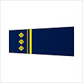 敕任官的舊式袖章