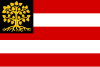 斯海尔托亨博斯 's-Hertogenbosch 登博斯 Den Bosch旗幟