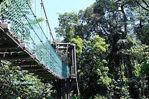 吉隆坡森林生态公园