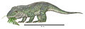 雷留图龙属是伪鳄类基群的一属，具植食性