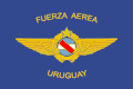 烏拉圭空軍旗