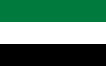 阿拉伯少女解放组织旗帜