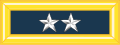 美國陸軍少將肩章（藍軍服，兵種是步兵）
