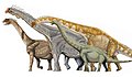 大鼻龍類，包括了圓頂龍、腕龍、長頸巨龍及盤足龍。