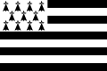 布列塔尼人旗帜