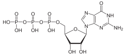Skeletal formula of guanosine triphosphate