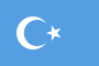 东突厥斯坦伊斯兰共和国