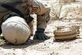 2004年5月18日：凱文葉森上士在遜尼派三角的Ad Dujayl村外的檢查兩個反坦克地雷的底部。
