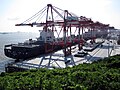 洋山深水港，上海已成世界最繁忙集装箱港口
