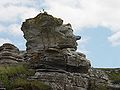 瑞典哥得蘭島Hoburgen岩（英语：Hoburgen）的“老人像”，由石灰石形成