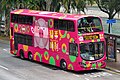 63R線途經大埔超級城，圖中為跨廠行駛本線的豬年生肖巴士