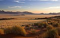 NamibRand自然保护区的日落