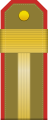 朝鮮人民軍陸軍特務上士肩章