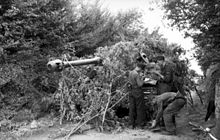 三名士兵正在维护一辆半被灌木丛挡住的坦克，炮管却很醒目