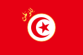突尼斯总统旗帜