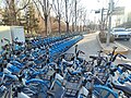 共享自行车成为了北京的城市风景