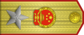 中华人民共和国元帅肩章