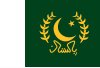 巴基斯坦总统旗
