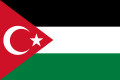 加沙和土耳其团结旗帜