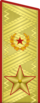 1980年－1991年苏联大将礼服肩章