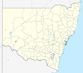 雪梨中心商务区在新南威尔士州的位置