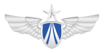 空军胸标