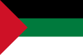 汉志王国和阿拉伯起义的旗帜