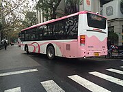 闵行客运粉红色SH装 （816路于东平路）