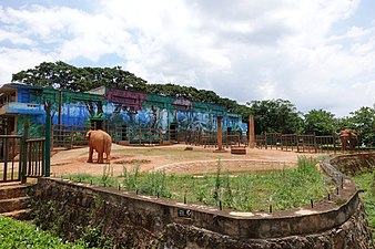 大象館