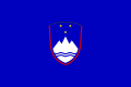 斯洛文尼亚国籍旗（1995-1996）