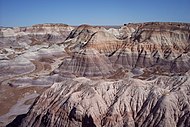 彩繪沙漠與古老岩石,位於化石森林國家公園