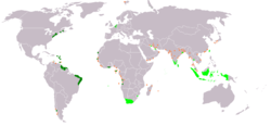 荷兰殖民地   浅绿色是荷兰东印度公司殖民领域   深绿色是荷兰西印度公司殖民领域   橙色是荷兰的贸易国（準同盟國）