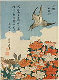 描繪一隻杜鵑鳥在一些花附近飛翔的彩色版畫。