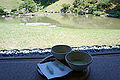 日本茶與一種魚形茶菓子