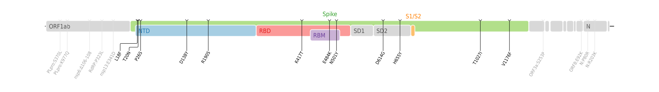 Gamma變異株的氨基酸突變（在SARS-CoV-2的基因組上作圖）[18]