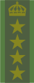 瑞典陸軍大校肩章