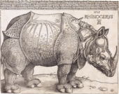 《杜勒的犀牛》；阿爾布雷希特·杜勒；1515； 木刻；23.5公分×29.8公分；國家藝廊