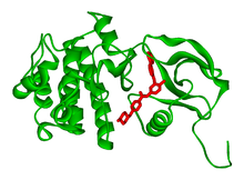 Bcr-Abl激酶