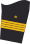 Navy sleeve insignias