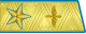 1955年－1974年蘇聯空軍元帥禮服肩章