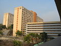 葵盛西邨的「第七型徙置大廈」，房委會統稱為「長型」，圖中集齊了兩款第七型大廈的標準設計