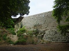 蒙龙城堡（法语：Château de Montrond (Saint-Amand-Montrond)）遗址
