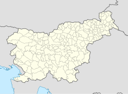 阿伊多夫什契納在斯洛維尼亞的位置